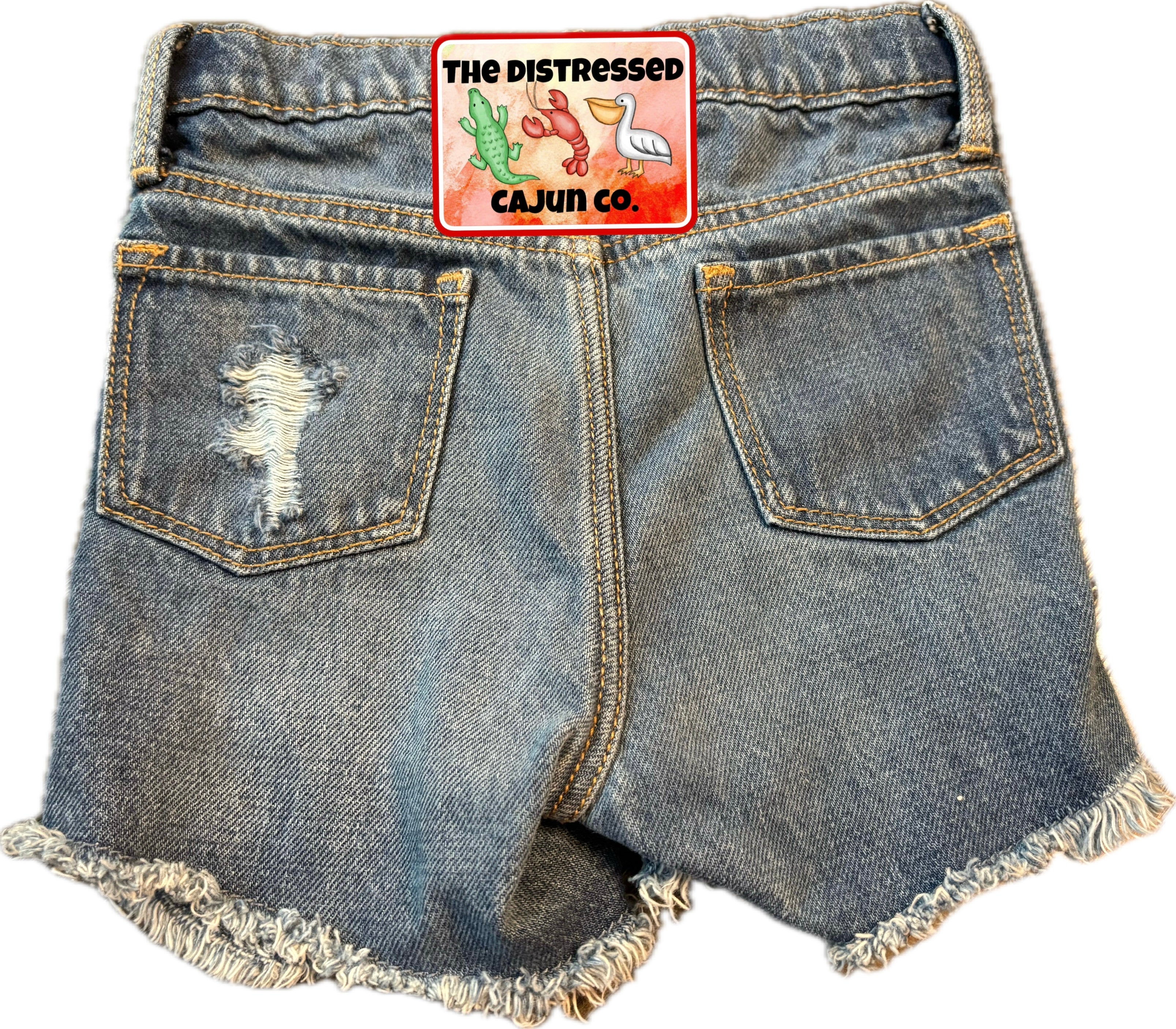 RTS Distressed Denim Shorts 4t