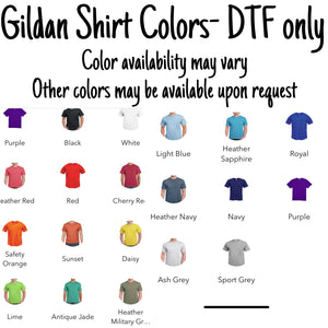 Small Ride Sublimation/ DTF/ BLEACHED Shirts, Onesies, Sweatshirts- MULTIPLE COLORS