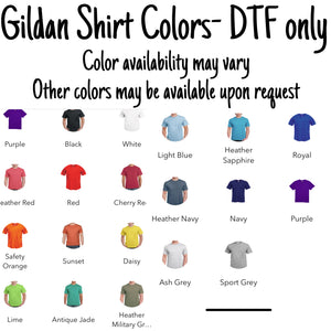 Main Attraction Sublimation/ DTF/ BLEACHED Shirts, Onesies, Sweatshirts- MULTIPLE COLORS